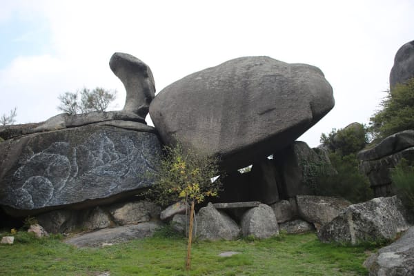 Foto 107 da atividade Galeria de Fotos