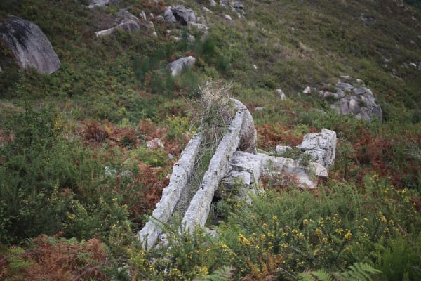 Foto 101 da atividade Galeria de Fotos