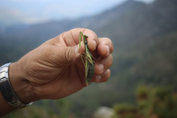 Foto 94 da atividade Galeria de Fotos