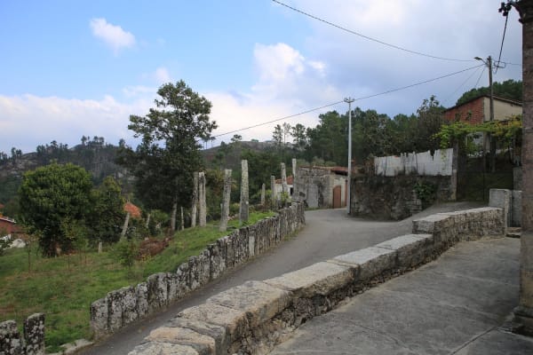 Foto 60 da atividade Galeria de Fotos