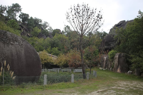 Foto 2 da atividade Galeria de Fotos