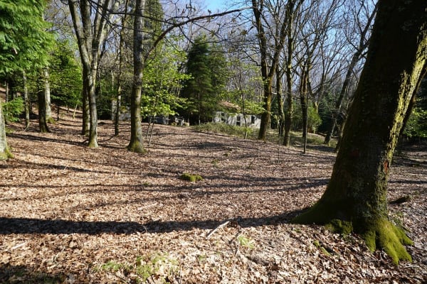 Foto 124 da atividade Galeria de Fotos