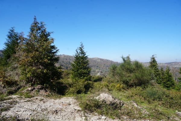 Foto 99 da atividade Galeria de Fotos