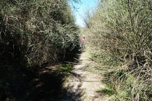 Foto 97 da atividade Galeria de Fotos