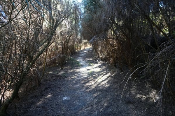 Foto 90 da atividade Galeria de Fotos