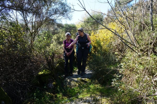 Foto 84 da atividade Galeria de Fotos