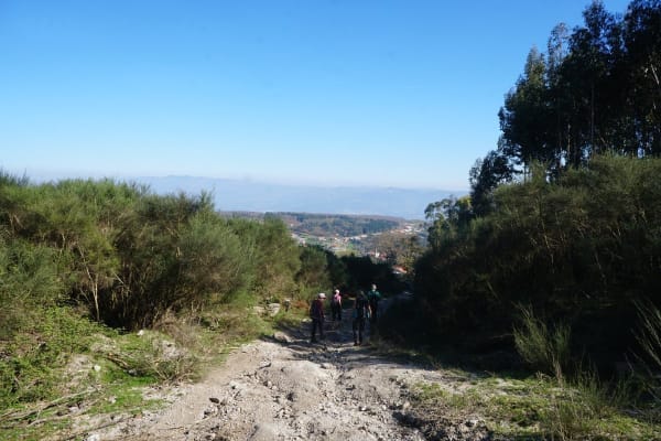 Foto 80 da atividade Galeria de Fotos