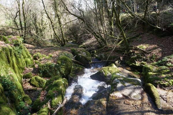 Foto 76 da atividade Galeria de Fotos