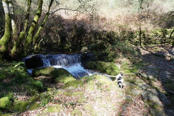 Foto 64 da atividade Galeria de Fotos