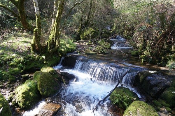 Foto 59 da atividade Galeria de Fotos