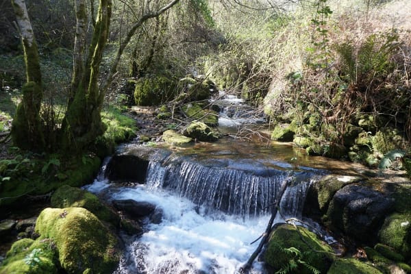 Foto 58 da atividade Galeria de Fotos