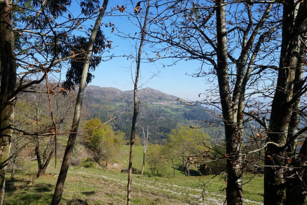 Foto 40 da atividade Galeria de Fotos