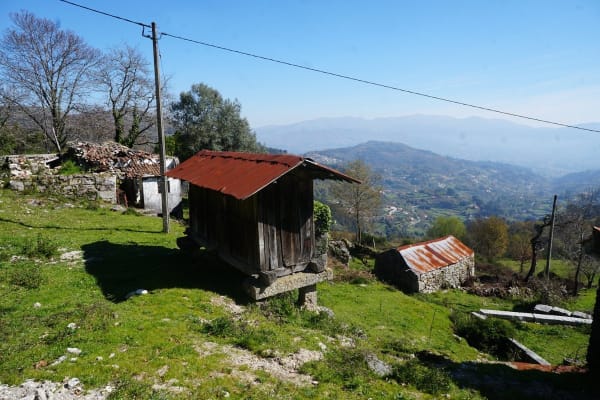 Foto 39 da atividade Galeria de Fotos