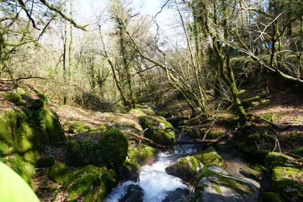 Foto 36 da atividade Galeria de Fotos