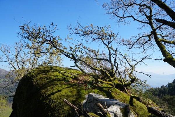 Foto 25 da atividade Galeria de Fotos