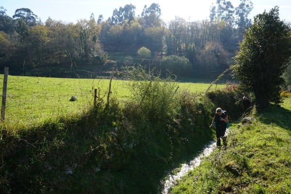 Foto 19 da atividade Galeria de Fotos