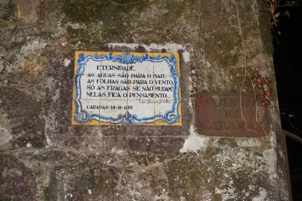 Foto 10 da atividade Galeria de Fotos