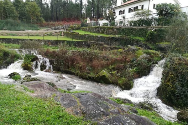 Foto 25 da atividade Galeria de Fotos