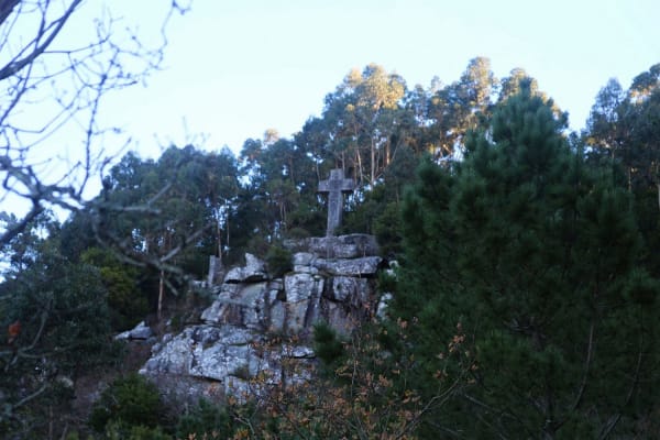 Foto 134 da atividade Galeria de Fotos