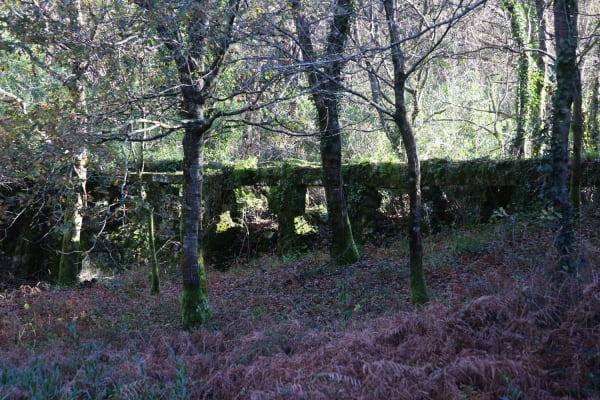 Foto 130 da atividade Galeria de Fotos