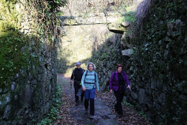 Foto 82 da atividade Galeria de Fotos