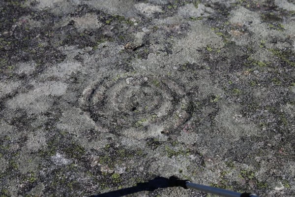 Foto 62 da atividade Galeria de Fotos