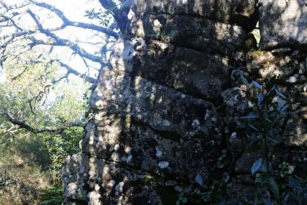 Foto 52 da atividade Galeria de Fotos