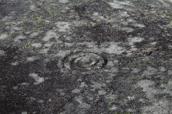 Foto 50 da atividade Galeria de Fotos