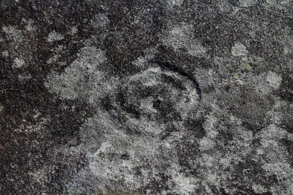 Foto 39 da atividade Galeria de Fotos