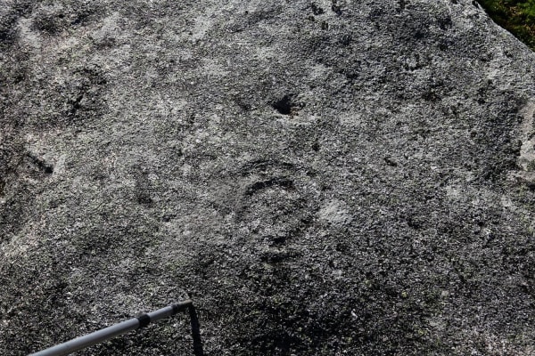 Foto 28 da atividade Galeria de Fotos