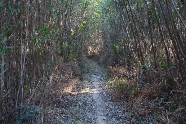 Foto 27 da atividade Galeria de Fotos