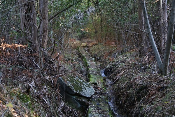 Foto 14 da atividade Galeria de Fotos