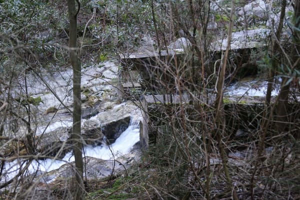 Foto 10 da atividade Galeria de Fotos