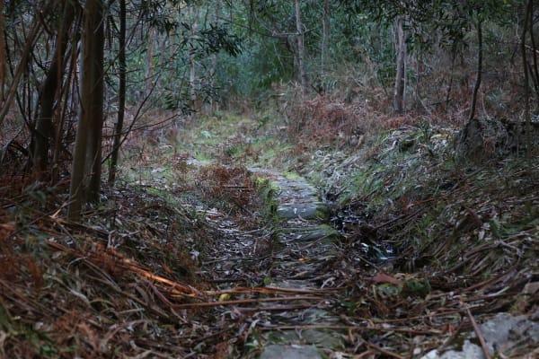 Foto 9 da atividade Galeria de Fotos