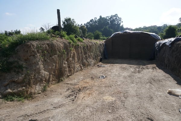 Foto 103 da atividade Galeria de Fotos