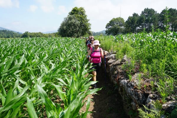 Foto 89 da atividade Galeria de Fotos