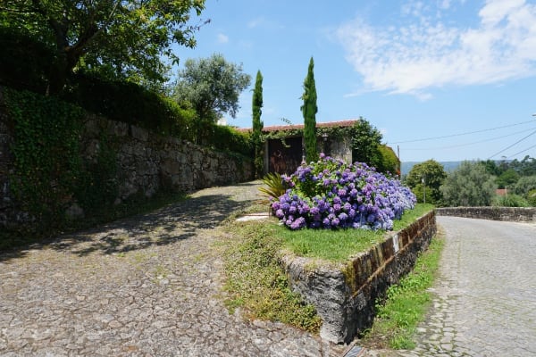 Foto 78 da atividade Galeria de Fotos