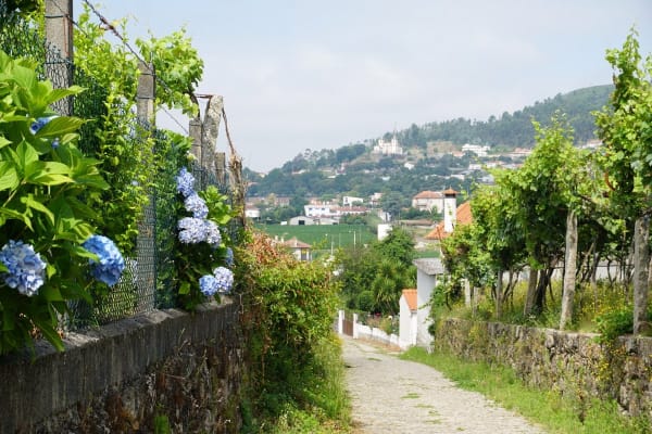 Foto 53 da atividade Galeria de Fotos