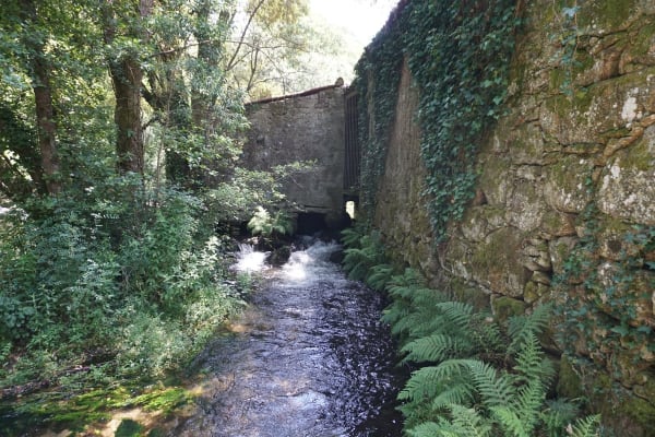 Foto 50 da atividade Galeria de Fotos