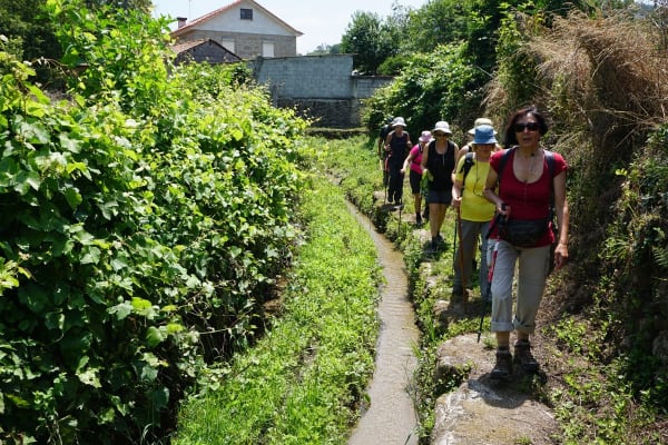 Foto 37 da atividade Galeria de Fotos