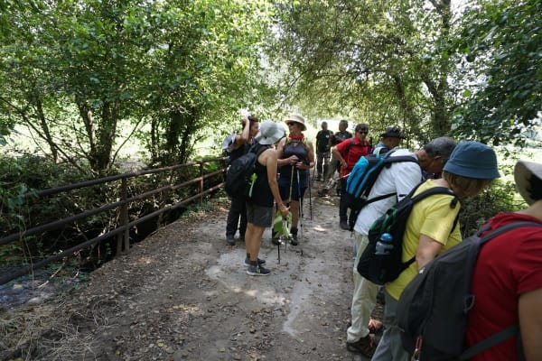 Foto 33 da atividade Galeria de Fotos