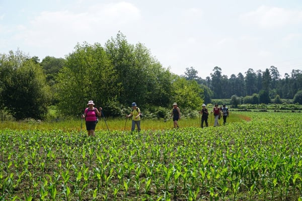 Foto 34 da atividade Galeria de Fotos