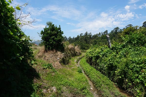 Foto 32 da atividade Galeria de Fotos