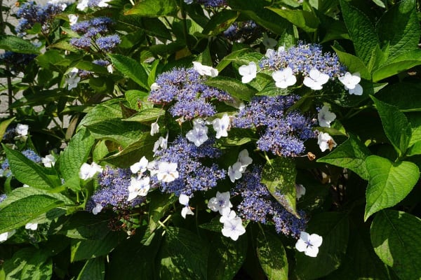 Foto 27 da atividade Galeria de Fotos