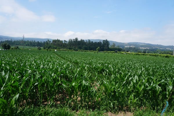 Foto 23 da atividade Galeria de Fotos