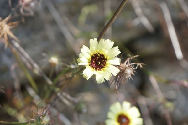 Foto 18 da atividade Galeria de Fotos