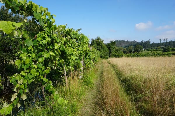 Foto 8 da atividade Galeria de Fotos