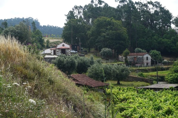 Foto 6 da atividade Galeria de Fotos