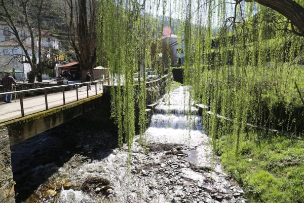 Foto 142 da atividade Galeria de Fotos