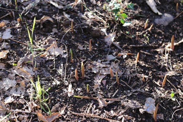 Foto 119 da atividade Galeria de Fotos